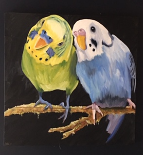 Budgie Snugglers